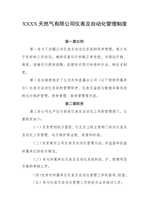 天然气有限公司仪表及自动化管理制度.docx