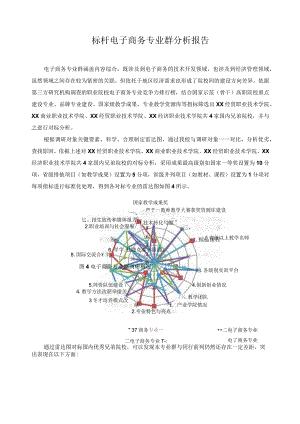 标杆电子商务专业群分析报告.docx