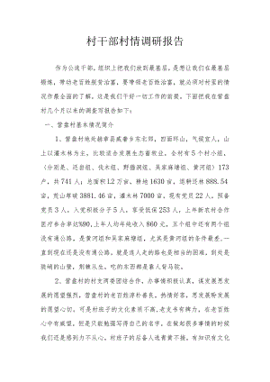 村情调研报告.docx