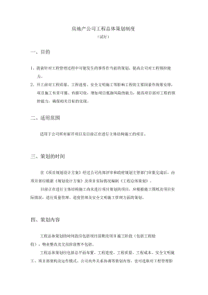 房地产公司工程总体策划制度试行.docx