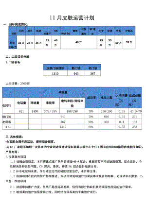 医美皮肤美容11月运营计划方案.docx