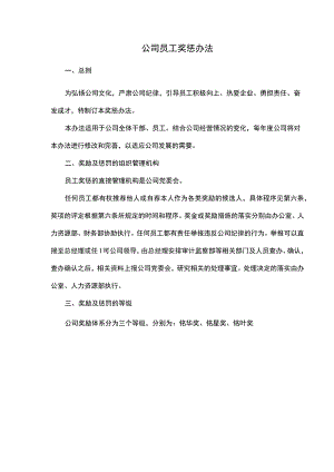 公司员工奖惩办法.docx