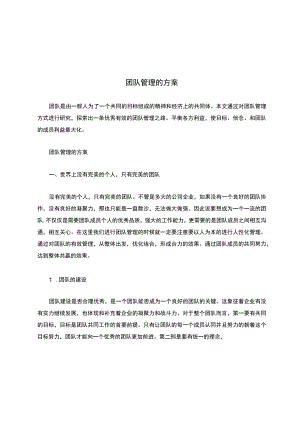 团队管理的方案.docx