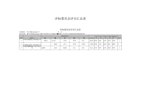 评标委员会评分汇总表.docx
