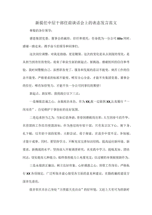 新提任中层干部任前谈话会上的表态发言范文.docx