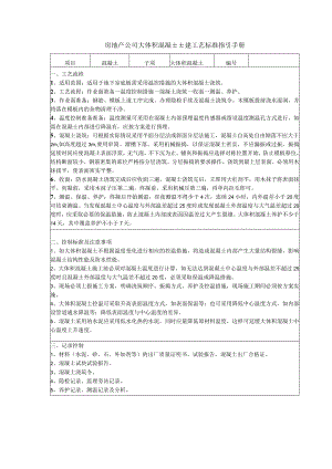 房地产公司大体积混凝土土建工艺标准指引手册.docx