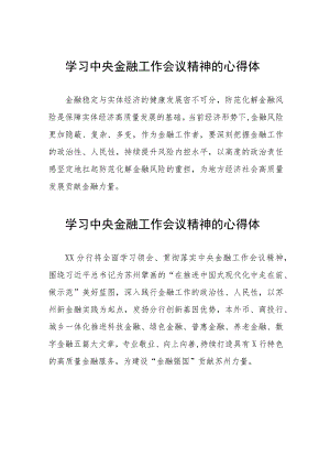 2023中央金融工作会议精神心得感悟发言提纲二十六篇.docx