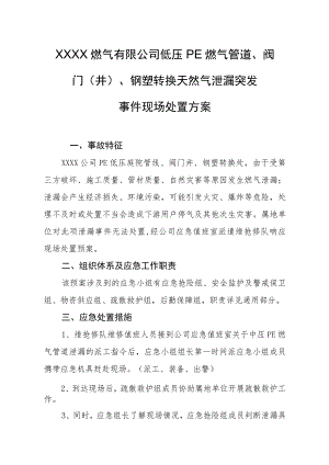 燃气有限公司低压PE燃气管道、阀门（井）、钢塑转换天然气泄漏突发事件现场处置方案.docx