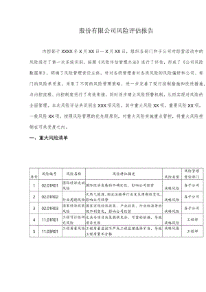 股份有限公司风险评估报告.docx