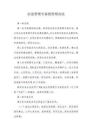 应急管理专家组管理办法.docx