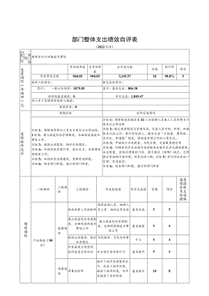 部门整体支出绩效自评表.docx