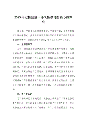 2023年纪检监察干部队伍教育整顿活动心得体会发言十四篇.docx