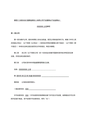 2019深圳公司章程E多股东执行董事监事多人有限公司不设董事会不设监事会.docx