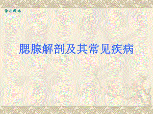 腮腺的解剖及常见疾病.ppt