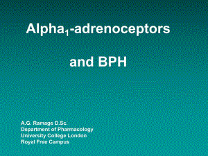 Alpha1adrenoceptors and BPH.ppt