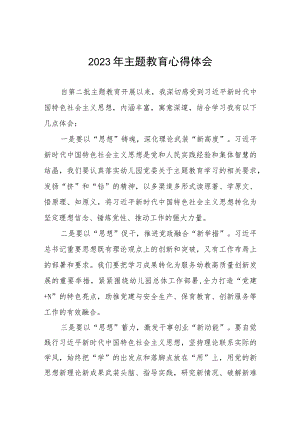 2023年幼儿园开展第二批主题学习教育心得体会十二篇.docx