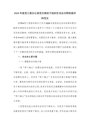 2024年度党工委办公室党支部班子组织生活会对照检查材料范文.docx