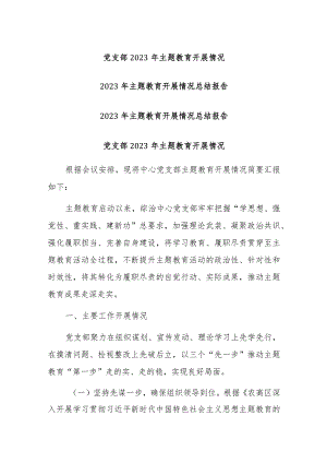 党支部2023年主题教育开展情况汇报范文.docx