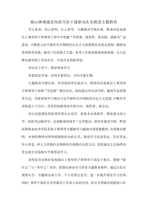 凝心铸魂强党性担当实干建新功扎实推进主题教育.docx