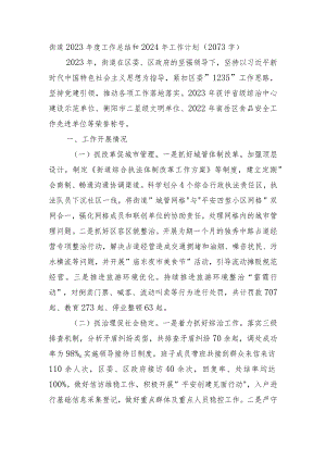 街道2023年度工作总结和2024年工作计划.docx