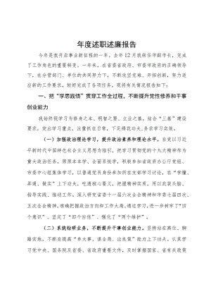 某副市长2023年述职述廉报告.docx