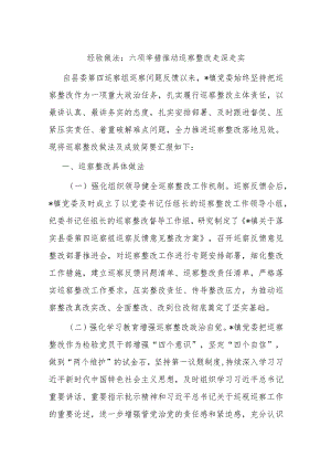 经验做法：六项举措推动巡察整改走深走实.docx