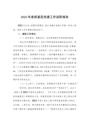 2023年度抓基层党建工作述职报告.docx
