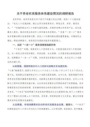 关于养老托育服务体系建设情况的调研报告.docx