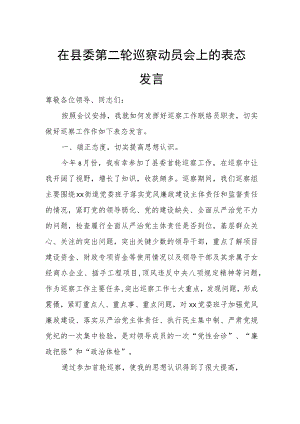 在县委第二轮巡察动员会上的表态发言.docx