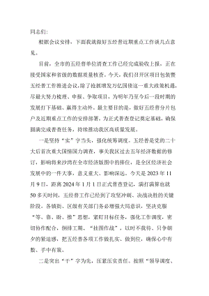 常务副区长在区项目包装暨五经普工作推进会议上的讲话.docx