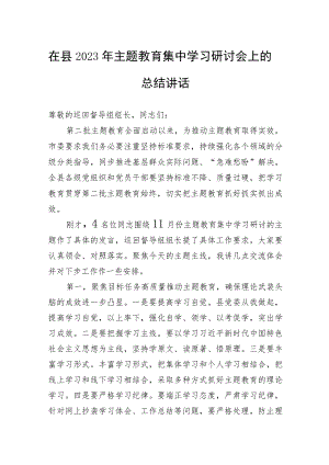 在县2023年主题教育集中学习研讨会上的总结讲话.docx