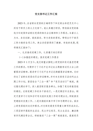 党支部书记工作汇报.docx