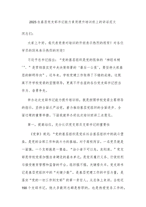 2023在基层党支部书记能力素质提升培训班上的讲话范文.docx