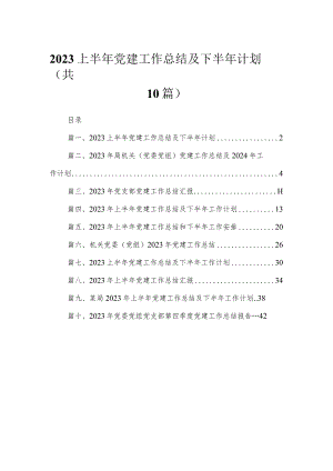 上半年党建工作总结及下半年计划（共10篇）.docx