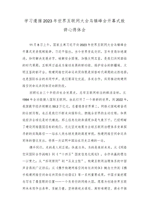 （2篇）学习遵循2023年世界互联网大会乌镇峰会开幕式致辞心得体会在党组理论学习中心组专题研讨交流会上的讲话稿.docx