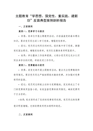 2023“学思想、强党性、重实践、建新功”反反面典型案例剖析报告.docx