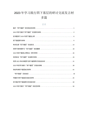 2023年学习践行四下基层的研讨交流发言材多篇.docx