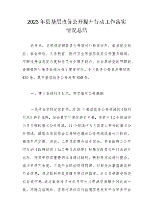 2023年县基层政务公开提升行动工作落实情况总结.docx