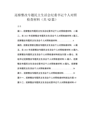 （12篇）巡察整改专题民主生活会纪委书记个人对照检查材料供参考.docx