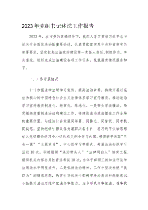 2023年党组书记述法工作报告.docx