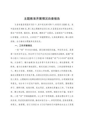 主题教育开展情况自查报告（3000字总结）.docx