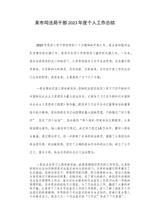 某市司法局干部2023年度个人工作总结.docx