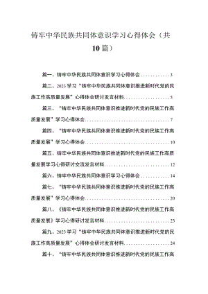 铸牢中华民族共同体意识学习心得体会范文精选(10篇).docx