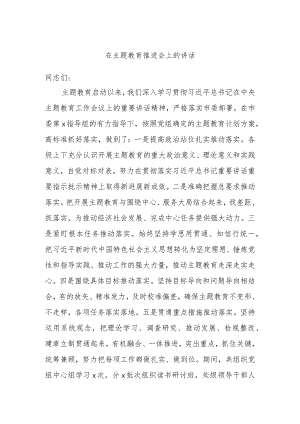 在主题教育推进会上的讲话.docx