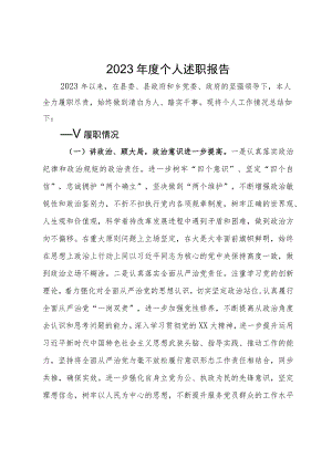 2023年度某县党员干部个人述职报告.docx