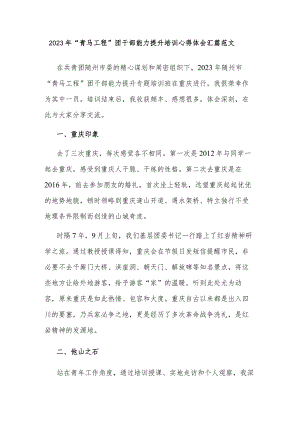 2023年“青马工程”团干部能力提升培训心得体会汇篇范文.docx
