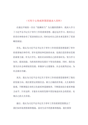 智慧团建“挺膺担当”录入(4篇合集）.docx
