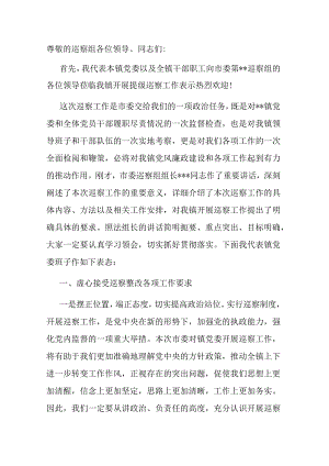 某乡镇党委书记在巡察工作动员会上的表态发言.docx