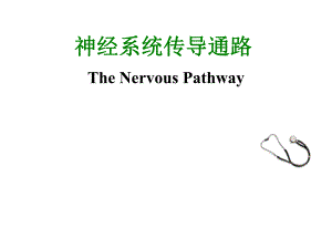人体解剖学临床传导路.ppt