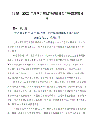 （9篇）2023年度学习贯彻我是哪种类型干部发言材料.docx